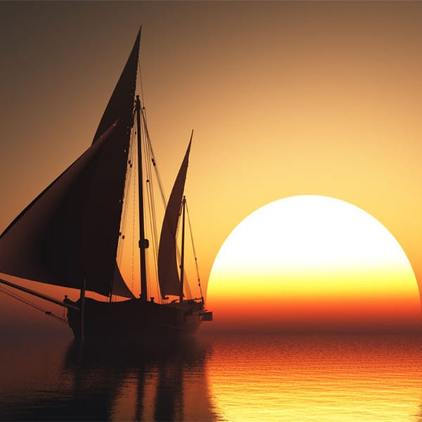 عاصمہ شیخ avatar